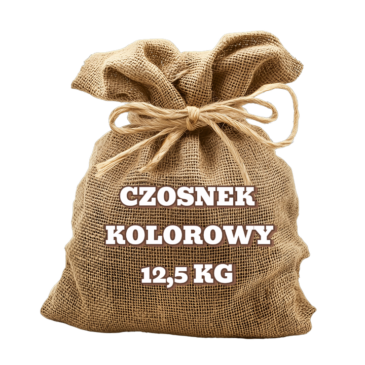 Czosnek kolorowy 12,5 kg HURT