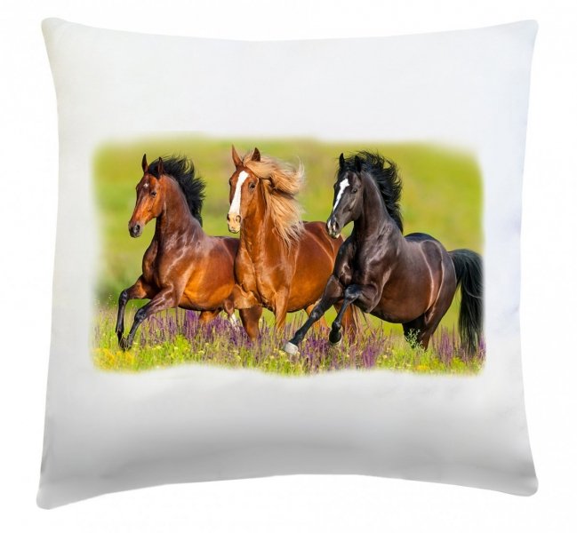 Poduszka dekoracyjna 40x40 wz. Konie