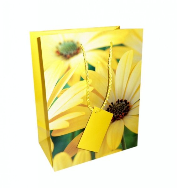 Ozdobne opakowanie, torebka na prezent 18x23 wz. Flower 001