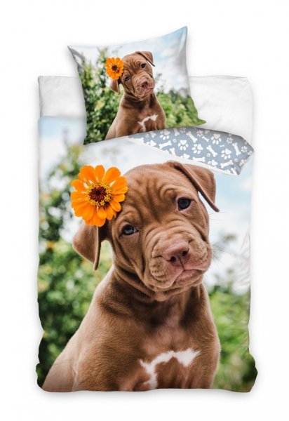 Pościel młodzieżowa 100% bawełna 160x200 - Pies - NL231059