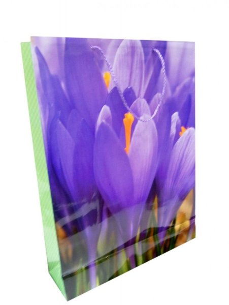 Ozdobne opakowanie, torebka na prezent 26x32 wz. 003 Fresh