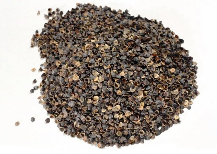 Ekologiczna łuska gryki, wypełnienie do poduszek 1 kg