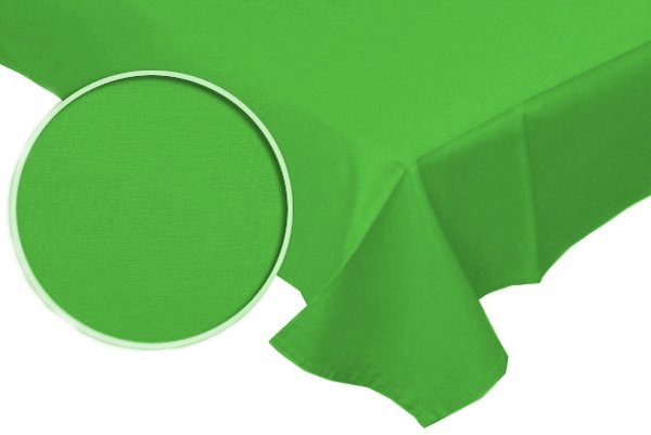 Prześcieradło RUBIN 100% bawełna 160x200 bez gumki wz. zielony 546/1