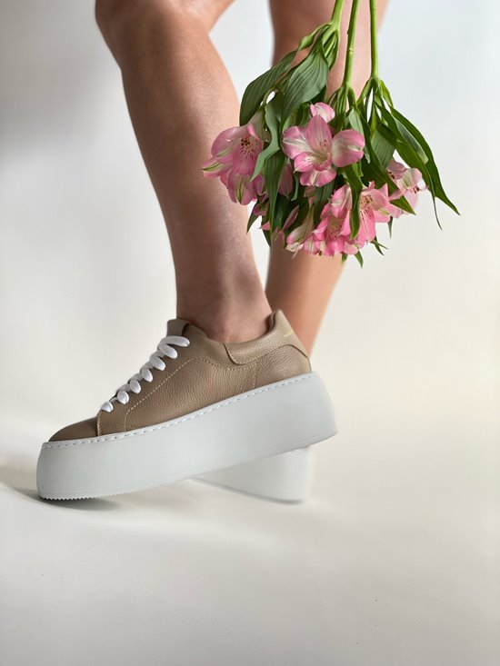 Sneakers SN704 - 1 Cappuccino Groch