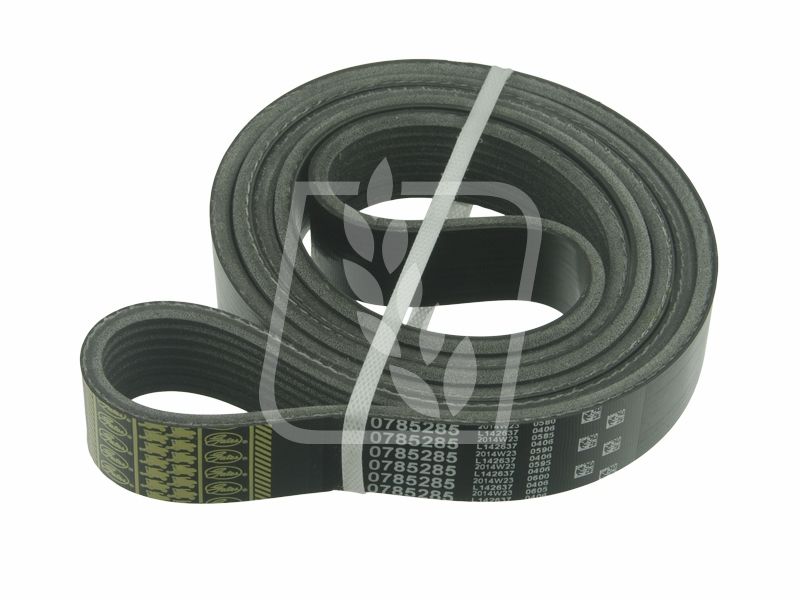 Pas wielorowkowy R501053 0785285