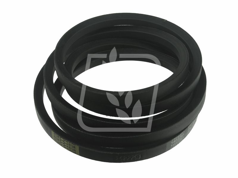 Pas 667683 Claas 22 x 38601 Gates