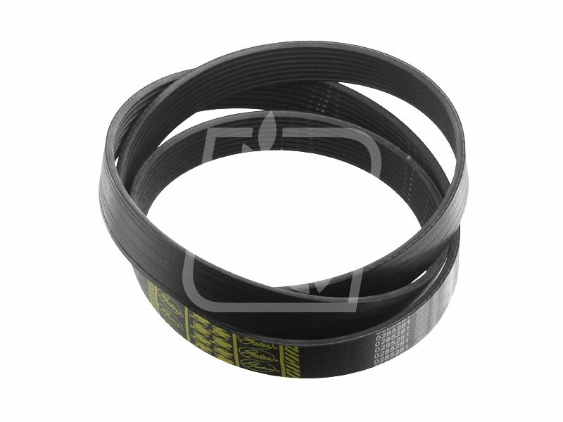 Pas wielorowkowy R123453