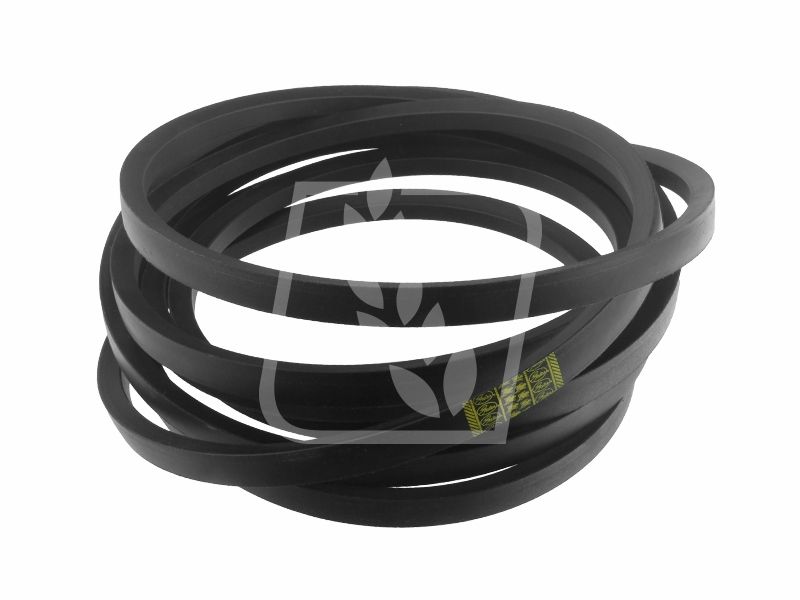 Pas 2 szt 667454 Claas 22 x 7239