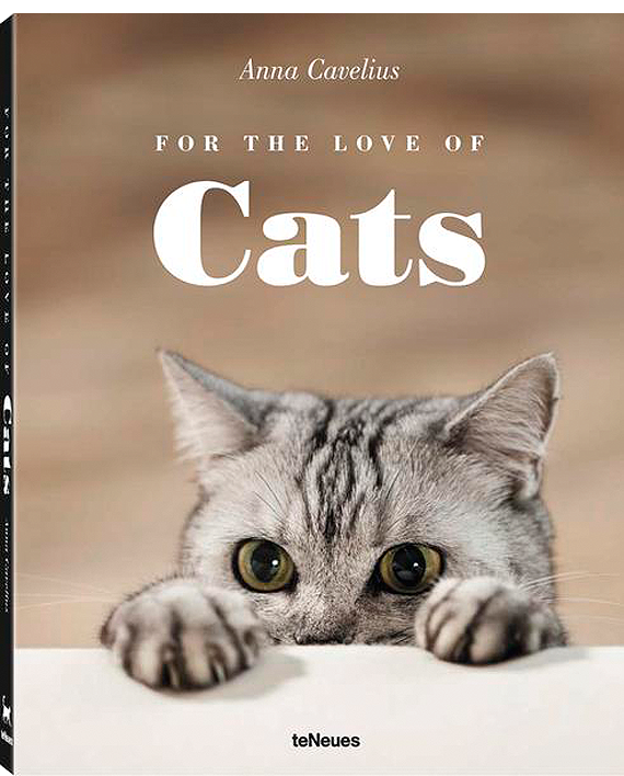 For the Love of Cats