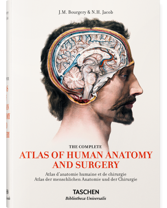 Bourgery. Atlas of Human Anatomy and Surgery