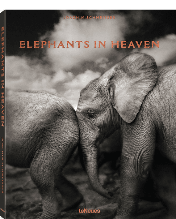 Elephants in Heaven