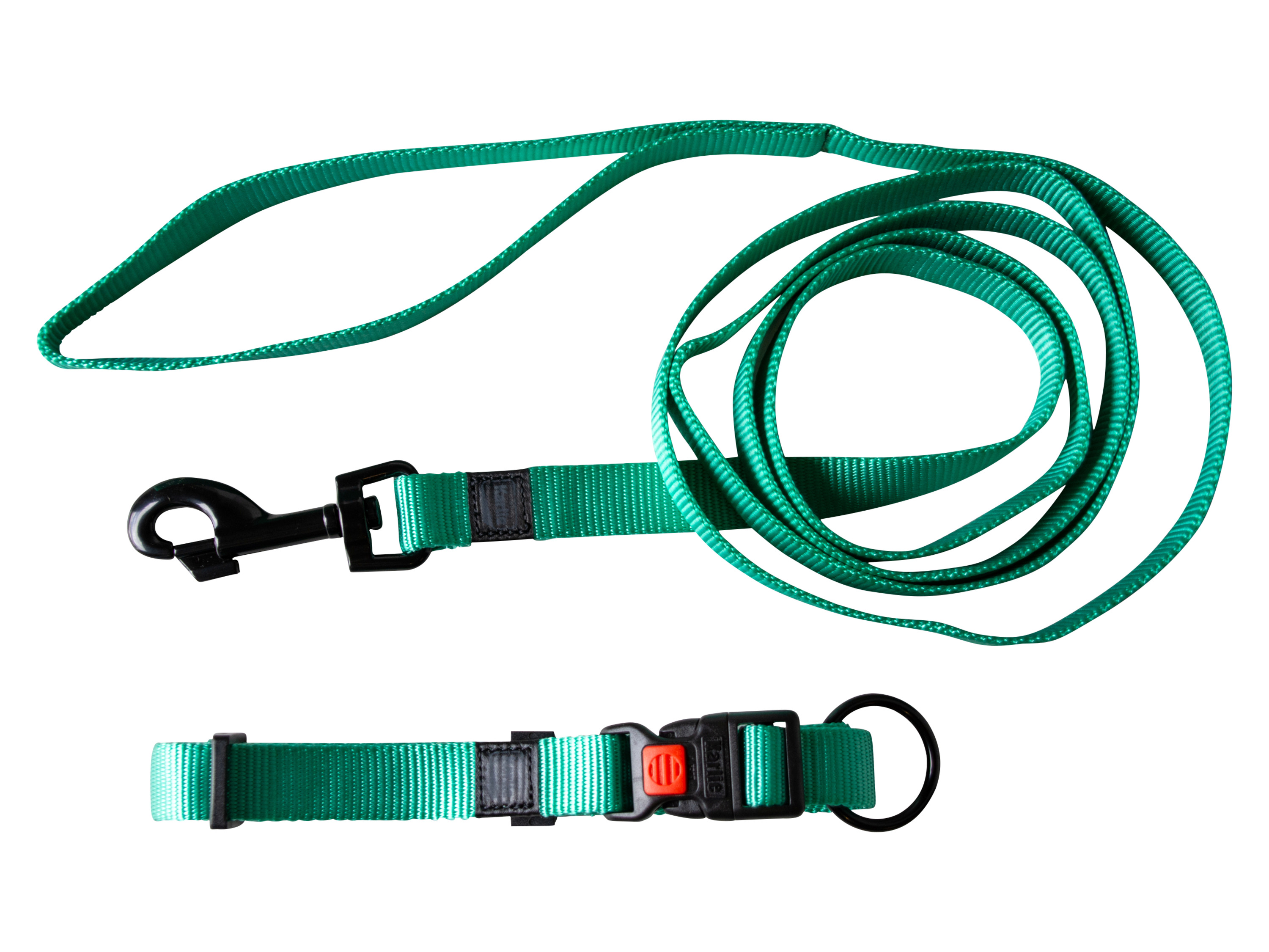 Karlie Smycz i obroża dla psa, ok. 200 cm Miętowy