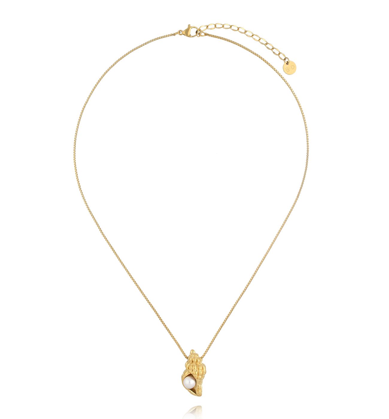 Naszyjnik z muszlą złoty NSY0651