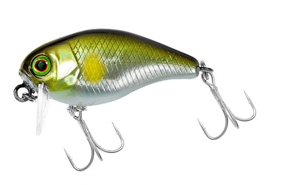 JACKALL wobler Chubby SSR 38F Ayu