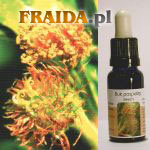 Buk pospolity - Tolerancja