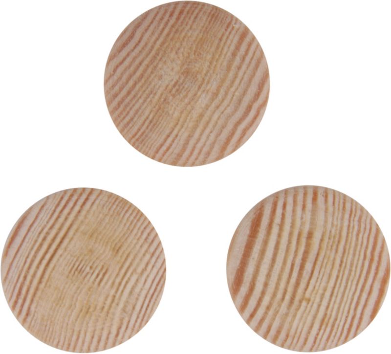 Kapsle maskujące Kornik fi 20 mm sosna 10 szt.