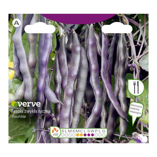 Nasiona fasola Blauhilde Seed Verve fioletowa