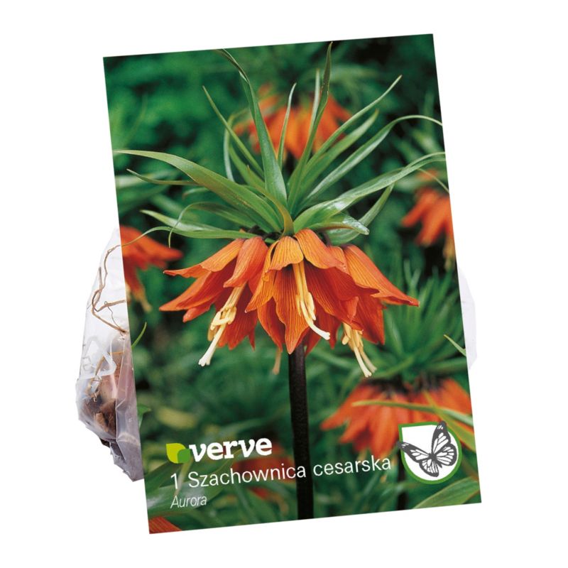 Szachownica Imperial Crown Verve