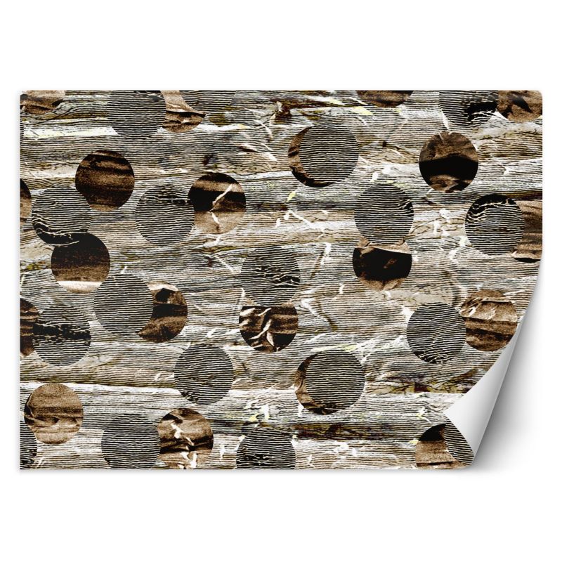 Fototapeta Feeby Abstrakcyjna tekstura w koła styl rustykalny 200x140 1 szt