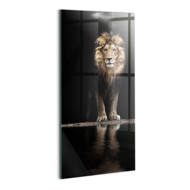 Foto Obraz Ścienny Szklany Wallfluent 70x140 cm Samotne zwierzę dziki lew 1 szt.