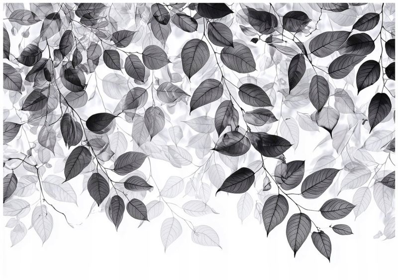 Fototapeta Liście Czarno Białe WALLARENA 350x250 cm Tapeta Do Sypialni Salonu Na Flizelinie 1 szt.