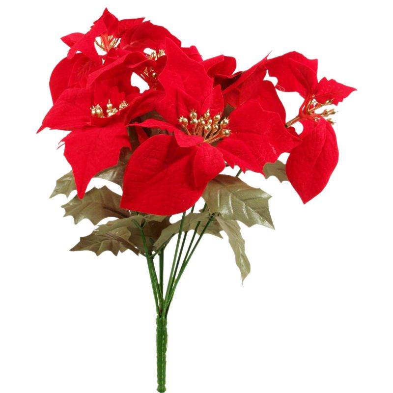 Gwiazda betlejemska Jumi bukiet 9 kwiatów