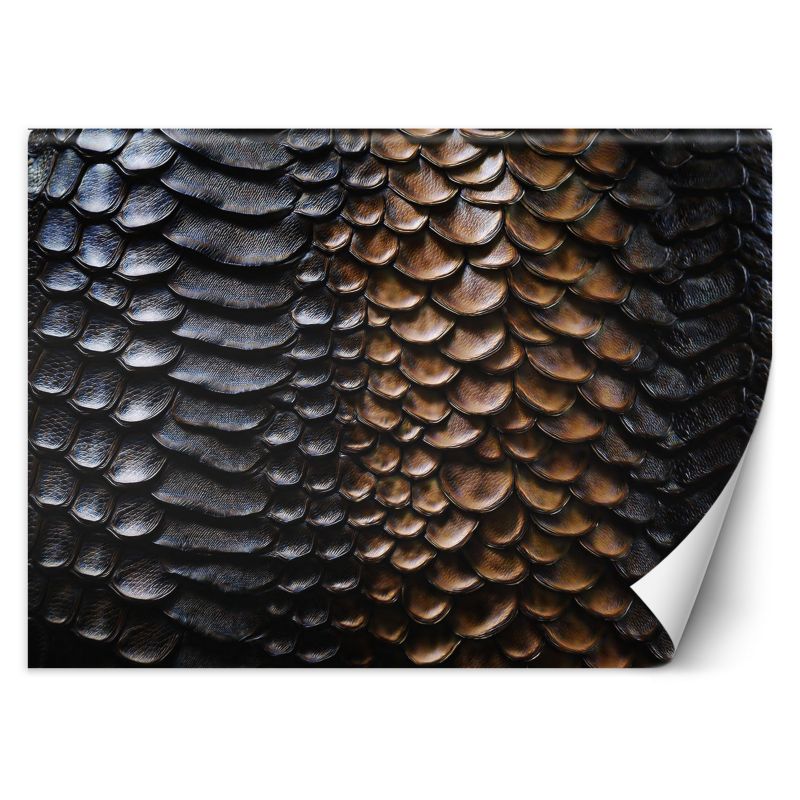 Fototapeta Feeby Tekstura skóry węża 400x280 1 szt