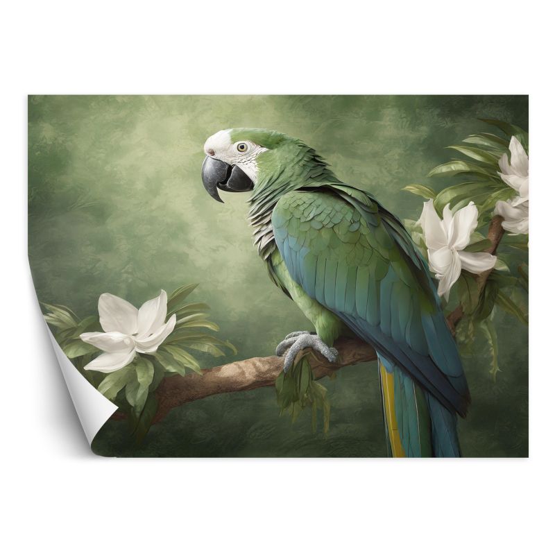 Fototapeta Feeby Zwierzęta Papuga Ptak 450x315 1 szt