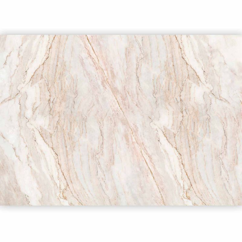 Fototapeta samoprzylepna Artgeist Abstrakcje beżowa 245x175 (5 części) 10139aa rolka 1 szt