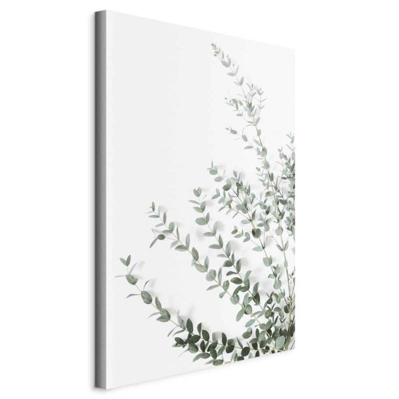 Obraz Artgeist Eukaliptus Parvifolia 40 x 60 cm płótno włoskie 1 szt