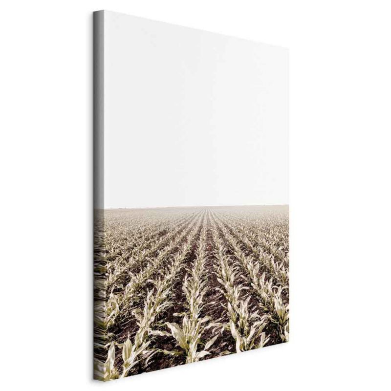 Obraz Artgeist Pole kukurydzy 80 x 120 cm flizelina 1 szt