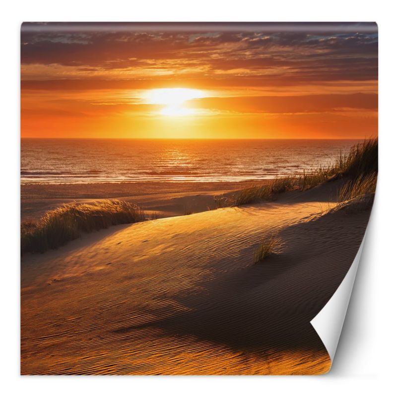 Fototapeta Feeby Zachód Słońca Plaża Natura 100x100 1 szt