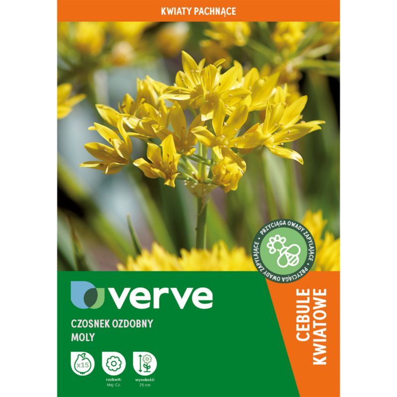 Czosnek Verve Molly 15 sztuk