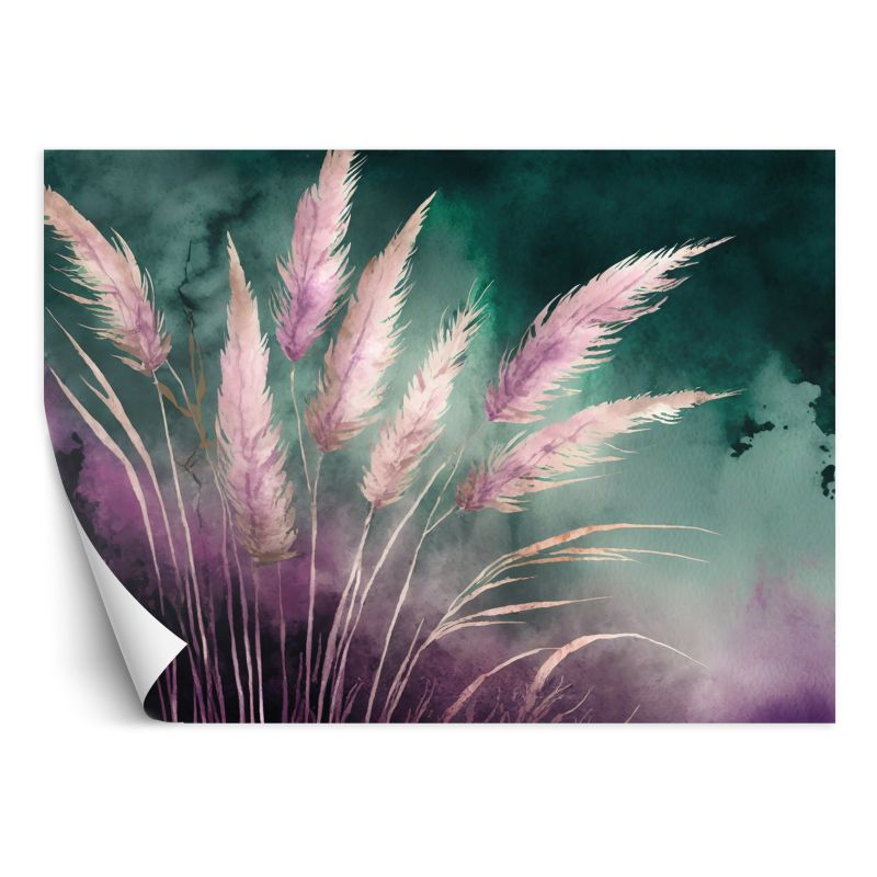 Fototapeta Feeby Trawa pampasowa Natura Botanika Abstrakcja 200x140 1 szt