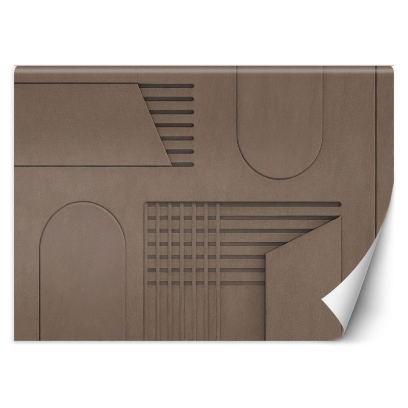 Fototapeta Feeby Brązowy Relief 3D 250x175 1 szt