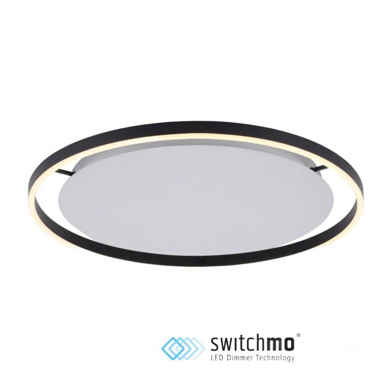 Plafon sufitowy Paul Neuhaus Ritus antracytowo-biały LED 28W 3000K 1100lm IP20 wym: 5,3 x 58,5 x 58,5 cm metal - 1 szt.