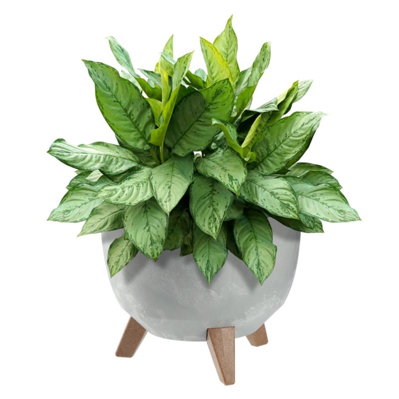 Doniczka KADAX Donica Na Kwiaty 29cm Osłonka + Wkład Nóżki Korek Kwietnik szary 1 szt.