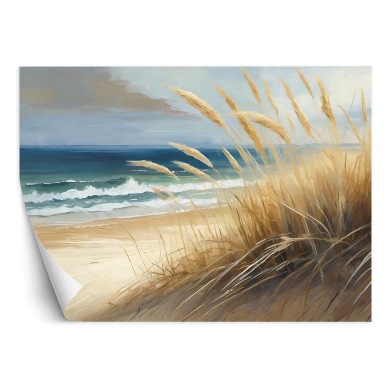 Fototapeta Feeby Plaża Wydmy morskie Przyroda 100x70 1 szt