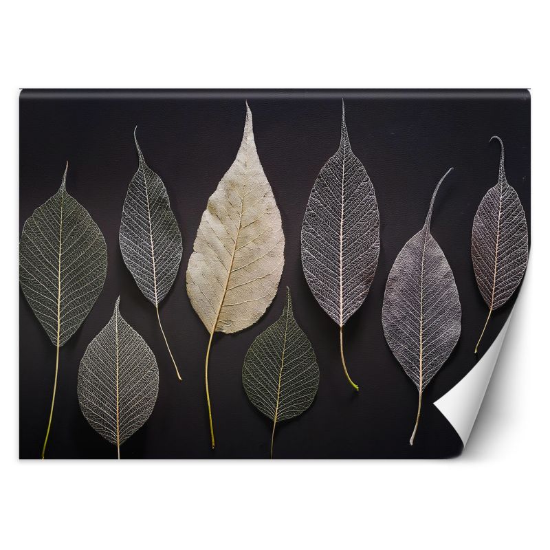 Fototapeta Feeby Minimalizm Liście Glamour Rośliny 350x245 1 szt