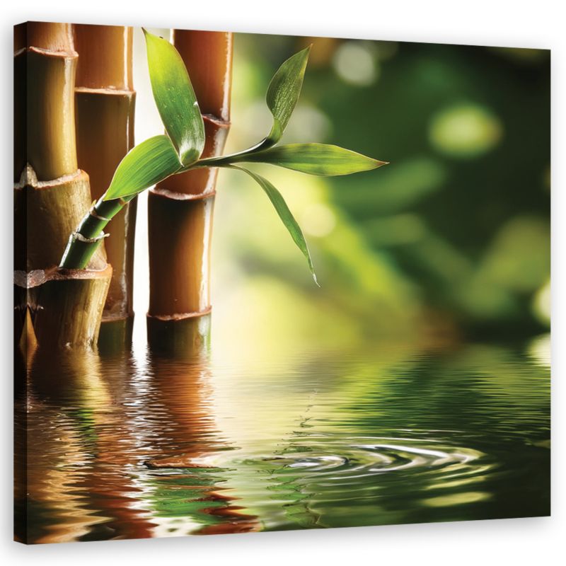 Obraz do salonu sypialni Feeby Bambus Zen 60x60 cm 1szt