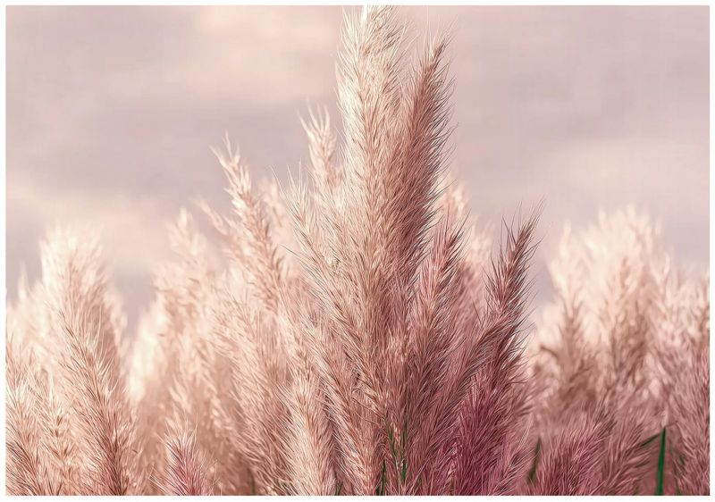 Fototapeta Boho Trawa Pampasowa WALLARENA 250x175 cm Tapeta Do Sypialni Salonu Na Flizelinie 1 szt.