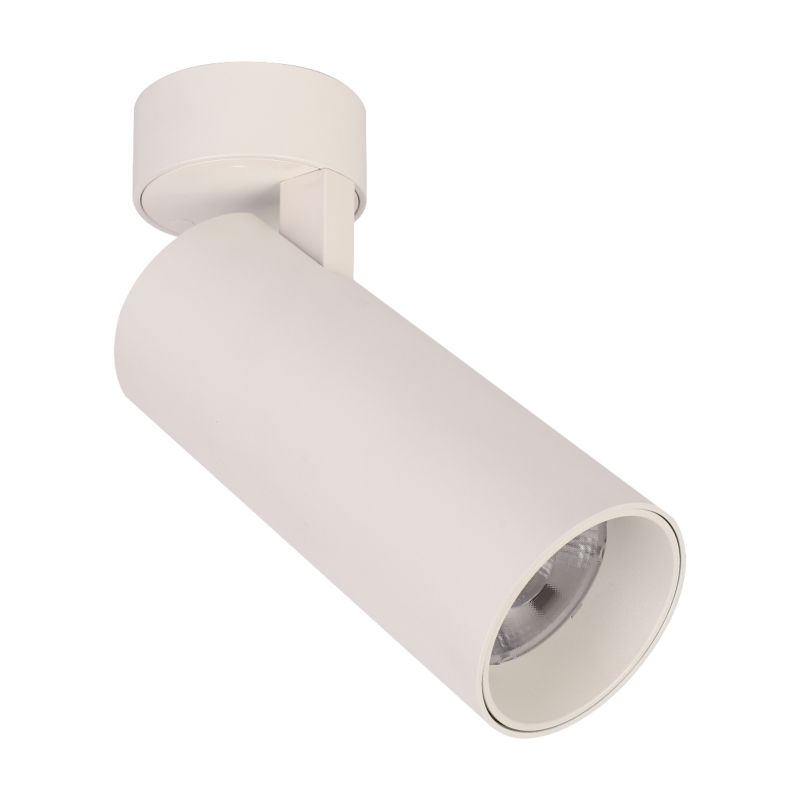 Reflektor BLAUPUNKT DRNW-12NW 12W 1 szt.