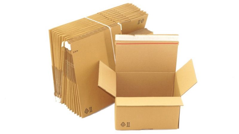 Pakiet - Karton Neopak wykrojnikowy 255x180x160mm - 10 szt.