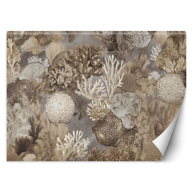 Fototapeta Feeby Feeby Fototapeta Feeby Morskie zwierzeta i rośliny 350x245 1 szt