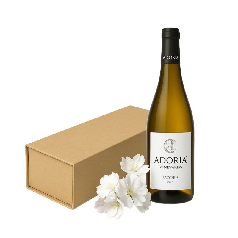 Pudełko Neopak na 1 wino KRAFT z magnesem 320x88x85mm 1 szt.