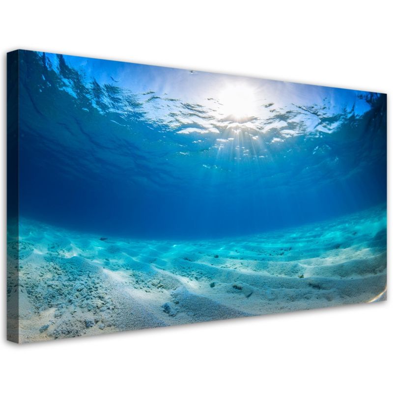 Obraz na płótnie Feeby Głębiny morskie Natura 80x40cm 1szt