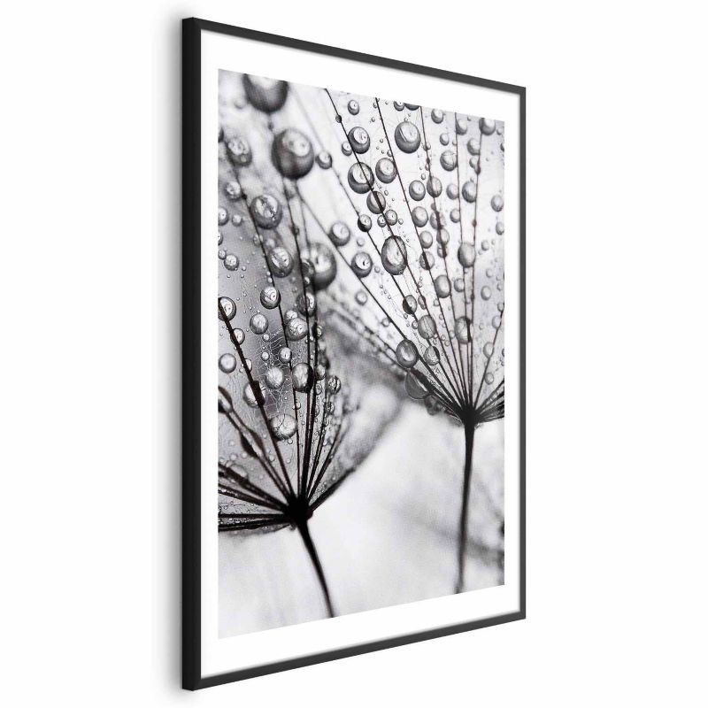 Plakat Artgeist Rosa 40x60 cm z ramą czarną 1 szt