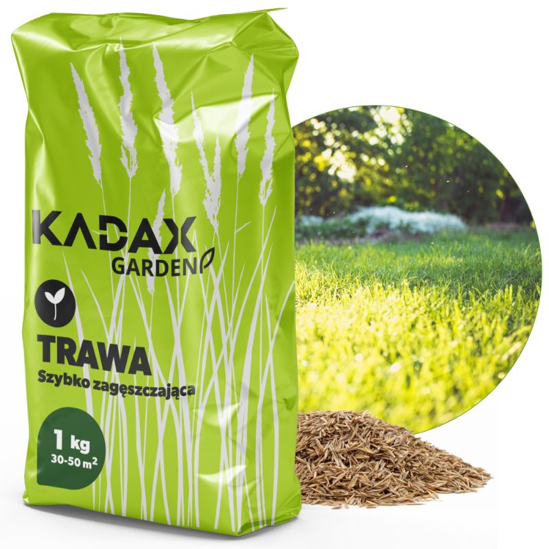 Trawa KADAX Nasiona Uniwersalna szybko Zagęszczająca Trawnik Odporna 1kg 40m2 1szt.