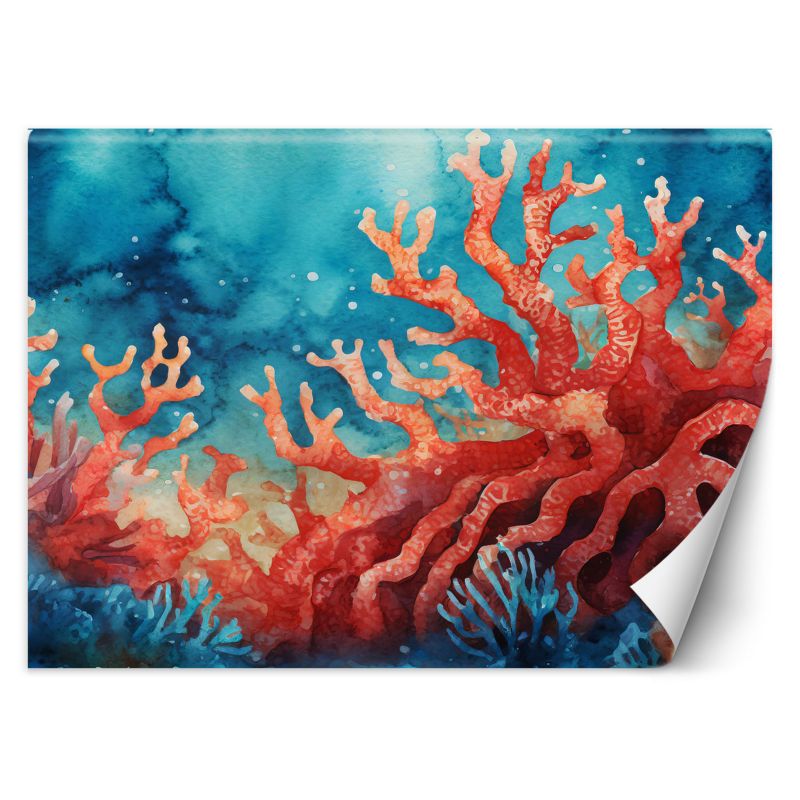 Fototapeta Feeby Kolorowa rafa koralowa 400x280 1 szt