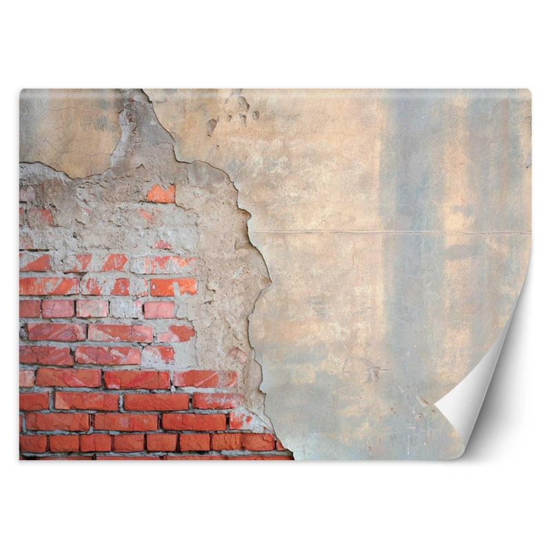 Fototapeta Feeby Mur z cegły 350x245 1 szt